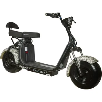 Elektrokoloběžka Kentoya Salamander II