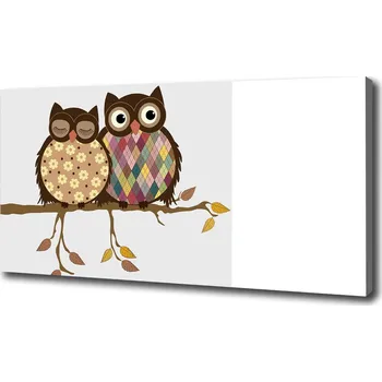 Obraz Foto obraz na plátně Dvě sovy na větvi