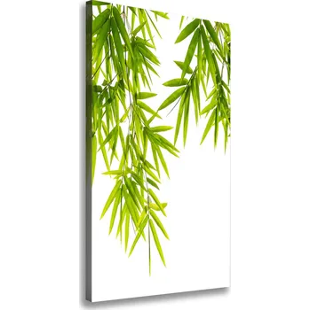 Obraz Foto-obraz canvas do obýváku Bambus listí