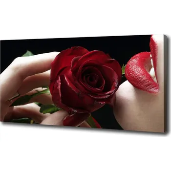 Obraz Foto obraz na plátně Žena s růži