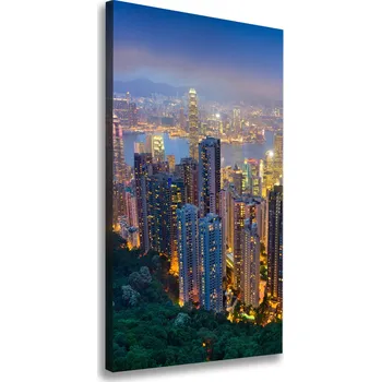 Obraz Vertikální Foto obraz na plátně Noční Hong kong