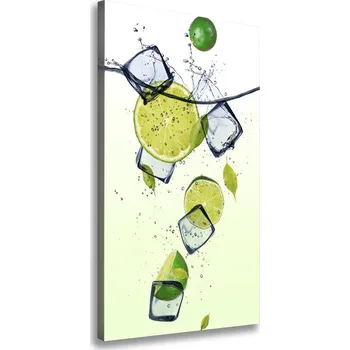 Obraz Vertikální Foto obraz na plátně Limetky a led