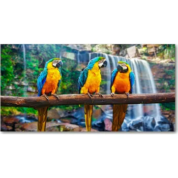 Obraz Foto obraz skleněný horizontální Papoušci na větvi