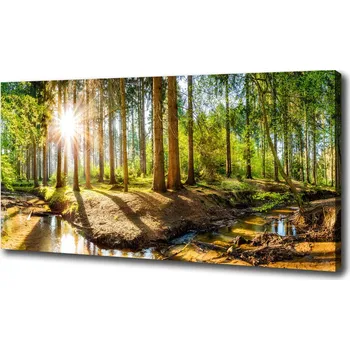 Obraz Foto obraz na plátně do obýváku Panorama les