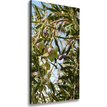 Obraz Vertikální Foto obraz na plátně Olivy na stromě