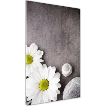 Obraz Vertikální Foto-obraz fotografie na skle Gerbera