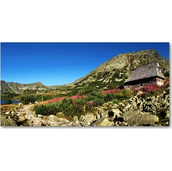 Obraz Fotoobraz na skle Bacovina v údolí