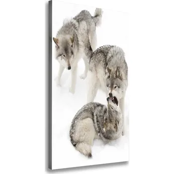 Obraz Vertikální Vertikální Foto obraz na plátně do obýváku Šedí vlci