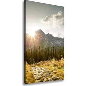 Obraz Vertikální Foto obraz na plátně Západ slunce Tatry