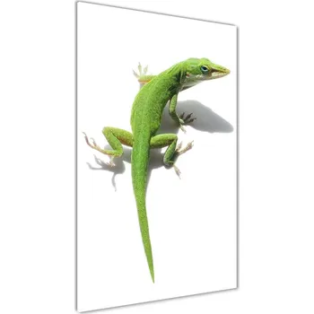 Obraz Vertikální Foto-obraz na skle Zelená ještěrka