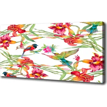 Obraz Foto obraz na plátně Exotičtí ptáci