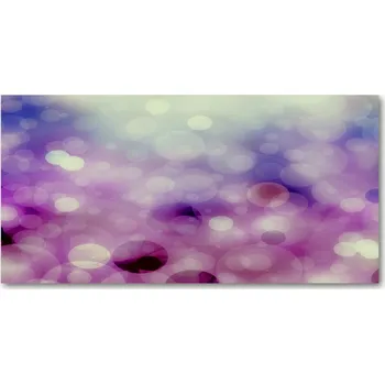 Obraz Fotoobraz na skle Fialové kola