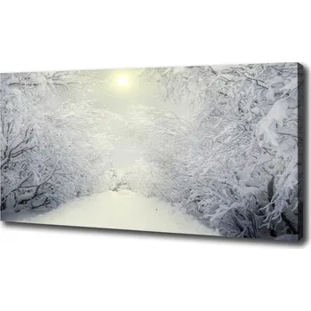 Obraz WallMuralia.cz oc-103882841 110 x 110 cm Hezký zimní les