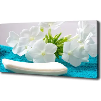 Obraz Foto obraz na plátně do obýváku Bílé květiny spa