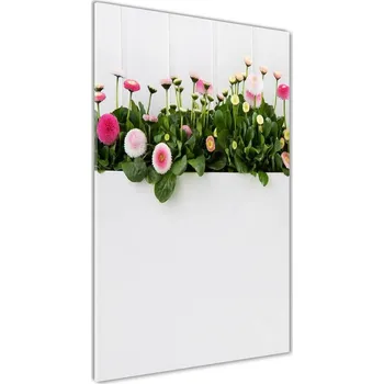 Obraz Vertikální Foto obraz skleněný svislý Růžové sedmikrásky