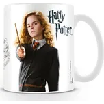 Pyramid International Harry Potter 315…