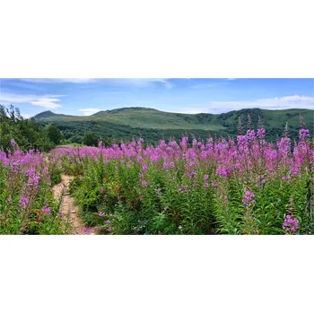 Obraz Foto-obraz fotografie na skle Zelené pahorky