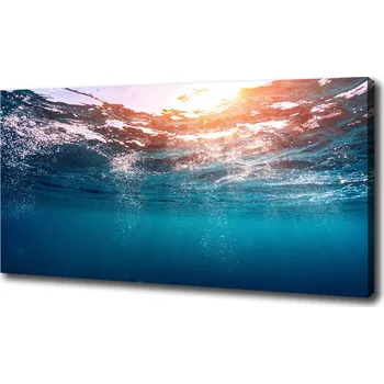 Obraz Foto obraz na plátně Podvodní svět