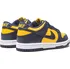 Chlapecké tenisky NIKE Dunk Low CW1590-700, 37,5