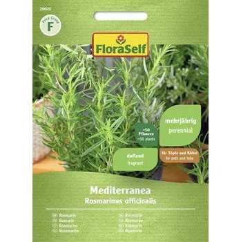 Semeno FloraSelf Rozmarýn Mediterranea FloraSelf