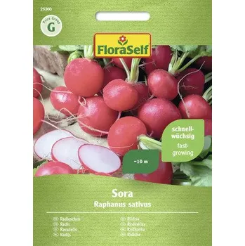 Semeno Ředkvička Sora FloraSelf