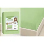 Bellatex Prostěradlo Mikroflanel 180x200 cm světlá zelená