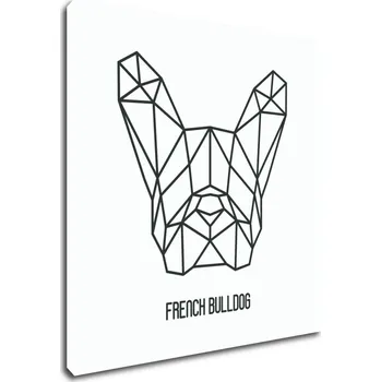 Obraz Impresi Obraz Francouzský buldoček ilustrace - 40 x 40 cm