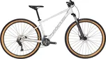 Focus Bikes Whistler 3.8 29" Light Grey…