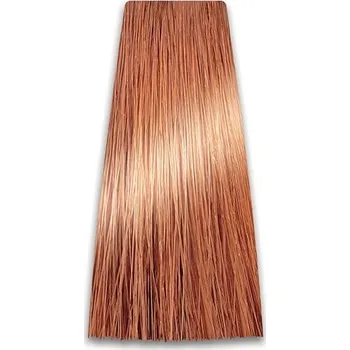 Kosmetika 9/04 Prosalon Professional Intensis Color Art (100 gr)