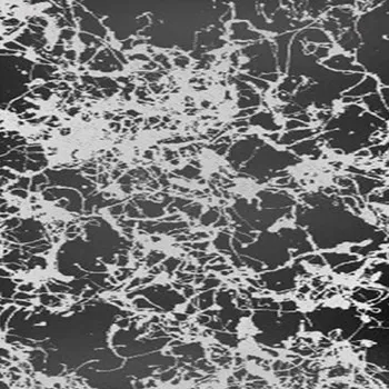 Barva ve spreji Montana Marble Effect Spray GOLD MARBLE: EMSilver Silver