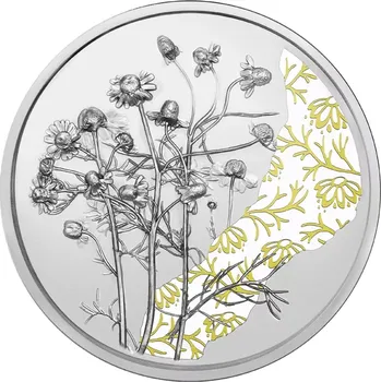 Sběratelství Stříbrná mince Heřmánek 1/2 oz Proof 2023
