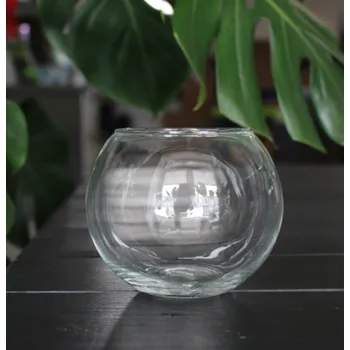 Akvárium Akvárium koule malá 0,8 l