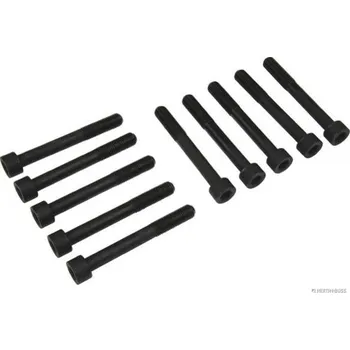 Spojovací materiál motoru Sada sroubu pro hlavy valcu HERTH+BUSS JAKOPARTS J1288008