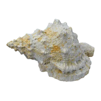 Zahradní dekorace ZahradniDekorace zahradní sochy - Ulita, výška 11 cm, 2,5 kg