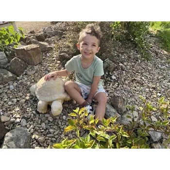 Zahradní dekorace ZahradniDekorace zahradní sochy zvířat - Želva střední, výška 16cm, 15kg