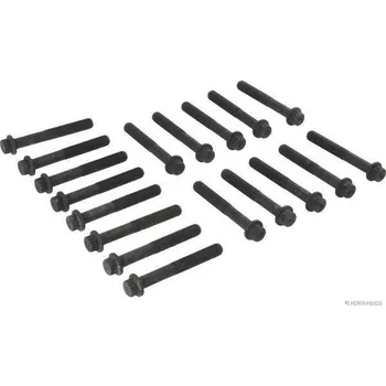Spojovací materiál motoru Sada sroubu pro hlavy valcu HERTH+BUSS JAKOPARTS J1285026