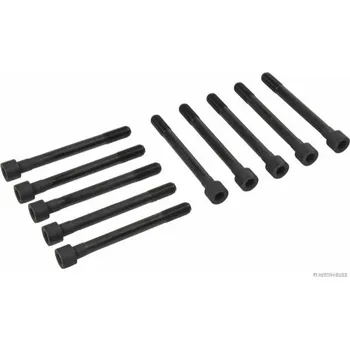 Spojovací materiál motoru Sada sroubu pro hlavy valcu HERTH+BUSS JAKOPARTS J1285005