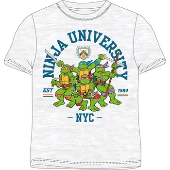 Želvy Ninja - licence Chlapecké tričko - Želvy Ninja 5202061, světle šedý melír Barva: Šedá, Velikost: 134