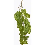 Monstera převis 95 cm zelená