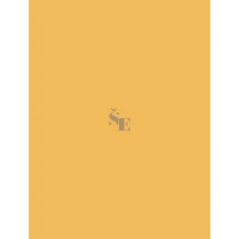 Karton Karton 50x70 meruňkový oboustranný 300 g/m2 00227280