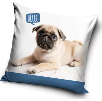 Polštář Pes Polštářek pejsek buldoček