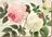 Creative Tops Korkové prostírání 29 x 21 cm 6 ks, Rose Garden