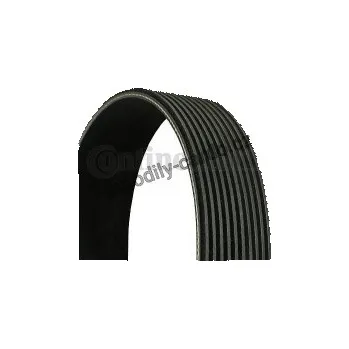Rozvod motoru Drážkový řemen CONTINENTAL CTAM 10PK1342