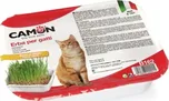 Camon Tráva pro kočky ječmen 130 g