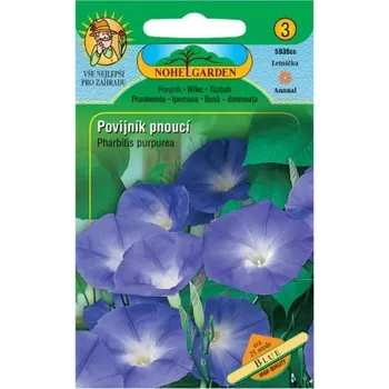 Pěstitelství Povijník nachový pnoucí, modrý