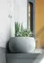 Květináč Prosperplast Beton Bowl DKB150 14,4 cm