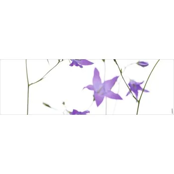 Obklad Koupelnová zádní stěna mySPOTTI aqua Glockenblume 140x45 cm