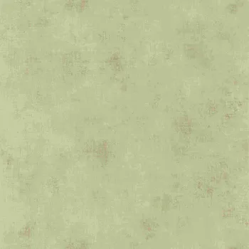 Tapeta Francouzská vliesová tapeta na zeď Caselio TELAS 2 102067000, velikost 10,05 x 0,53 m