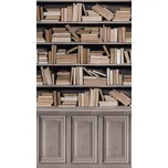 Fototapeta na zeď Knihovna A41601, 159 x 280 cm, Historian, Murals, Grandeco