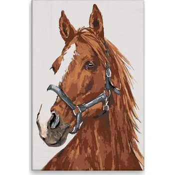 Dětské zboží Malování podle čísel - Kůň Falco - 40x60 cm, bez dřevěného rámu - CZ výroba